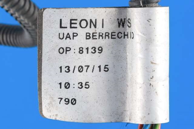 Ledningsnett til Peugeot Expert 2007-2016 (Type II)  (PEUGEOT|14 979700 80|)