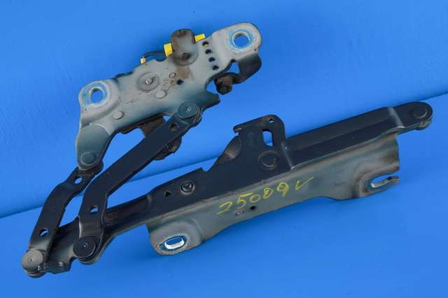 Panserhengsler til BMW 3-Serie 2012-2018 (F30/F31/F34) (F30/F31/F34) (BMW|7 239 415|)