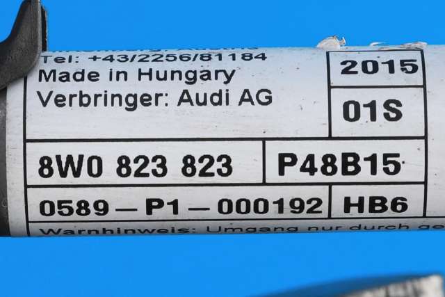 Panserhengsler til Audi A4 2015-2019 (Type V, Fase 1) (B9) (B9) (VAG|8W0 823 301 E|)