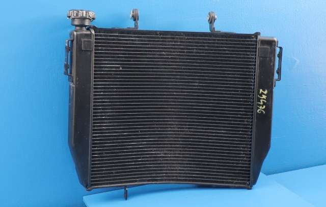 MC, Radiator til MC Triumph Street Triple, 2018-->> (Type III)