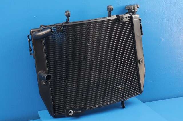 MC, Radiator til MC Triumph Street Triple 2018-->> (Type III)  