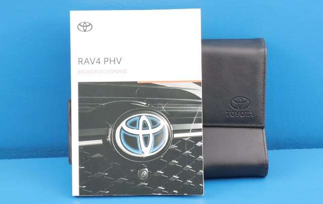Instruksjonsbok til Toyota RAV4, 2019-->> (Type V)  