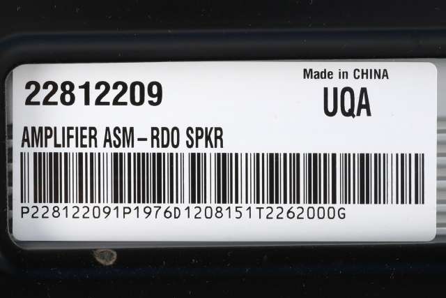 Bilstereo forsterker til Opel Insignia A 2009-2014  (GM|22 812 209|)