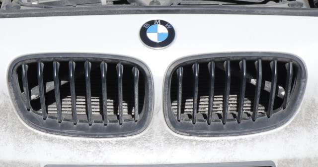Grill til BMW 1-Serie, 2011-2015 (Fase 1) (F20/F21) (F20/F21)