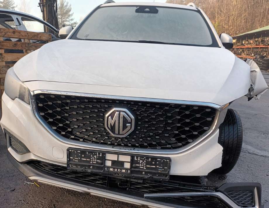 MG ZS EV, 2019-2021 (Type I, Fase 1)  delebil , Motorkode: TZ204XS1481