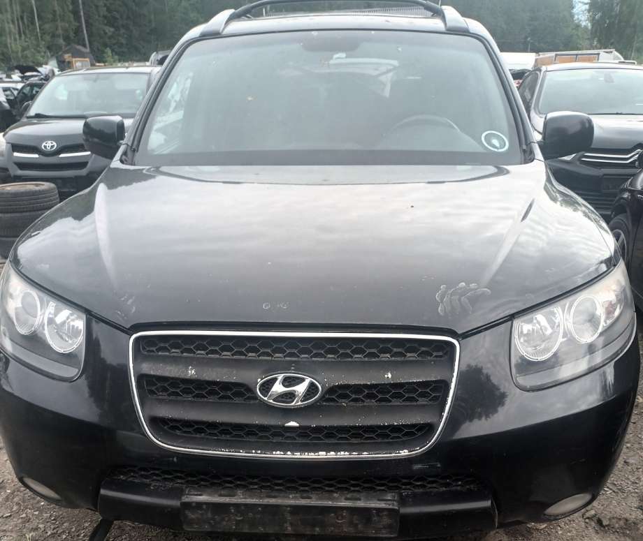 Hyundai Santa Fe, 2001-2006 (Type I)  delebil , Motorkode: D4EB