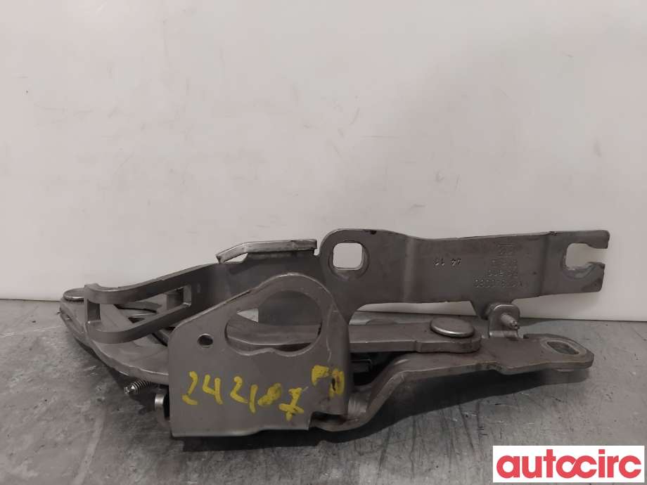 Panserhengsler til Peugeot RCZ 2010-2015  (PEUGEOT|7912G1|YM17340080|1608512880)