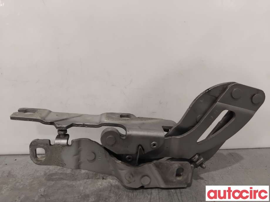 Panserhengsler til Peugeot RCZ 2010-2015  (PEUGEOT|7912G1|YM17340080|1608512880)