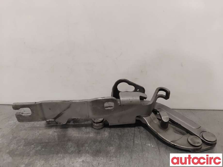 Panserhengsler til Peugeot RCZ 2010-2015  (PEUGEOT|7912G1|YM17340080|1608512880)