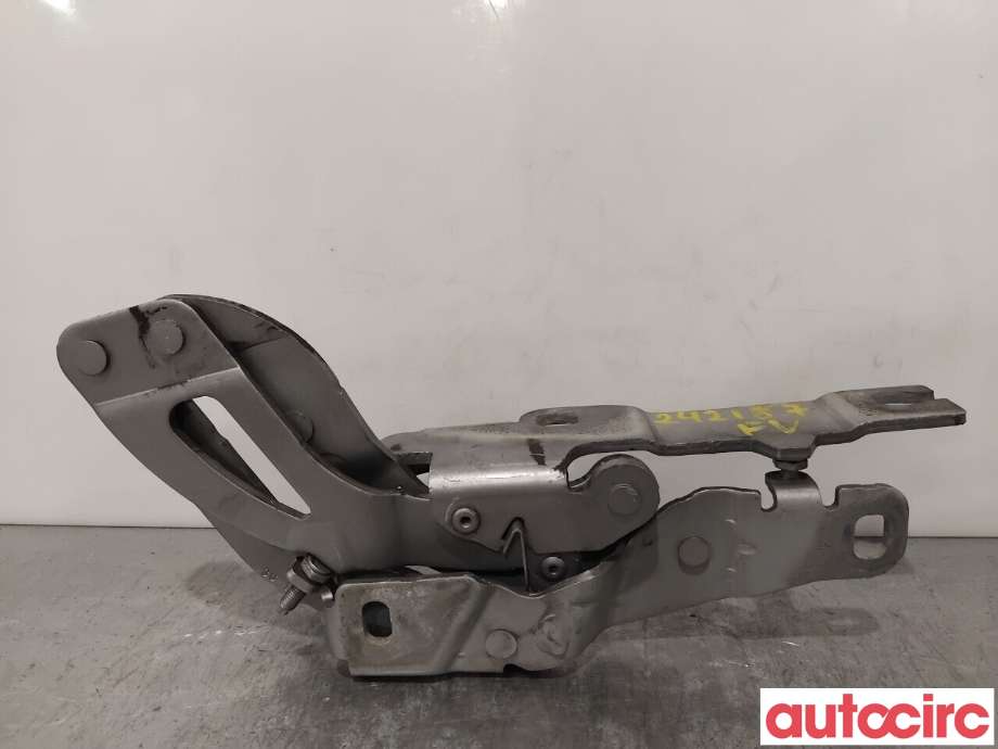 Panserhengsler til Peugeot RCZ 2010-2015  (PEUGEOT|7912G2|YM17340380|1608513480)