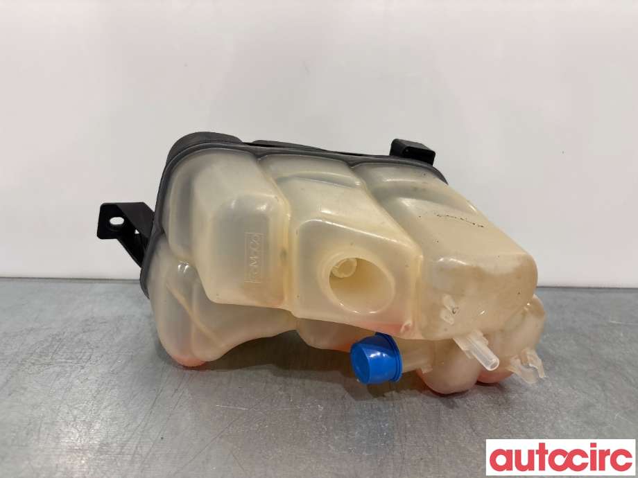 Ekspansjonstank til Ford Mondeo 2007-2010 (Type IV, Fase 1)  (FORD|1460978|6G91-8K218-D2L4A)