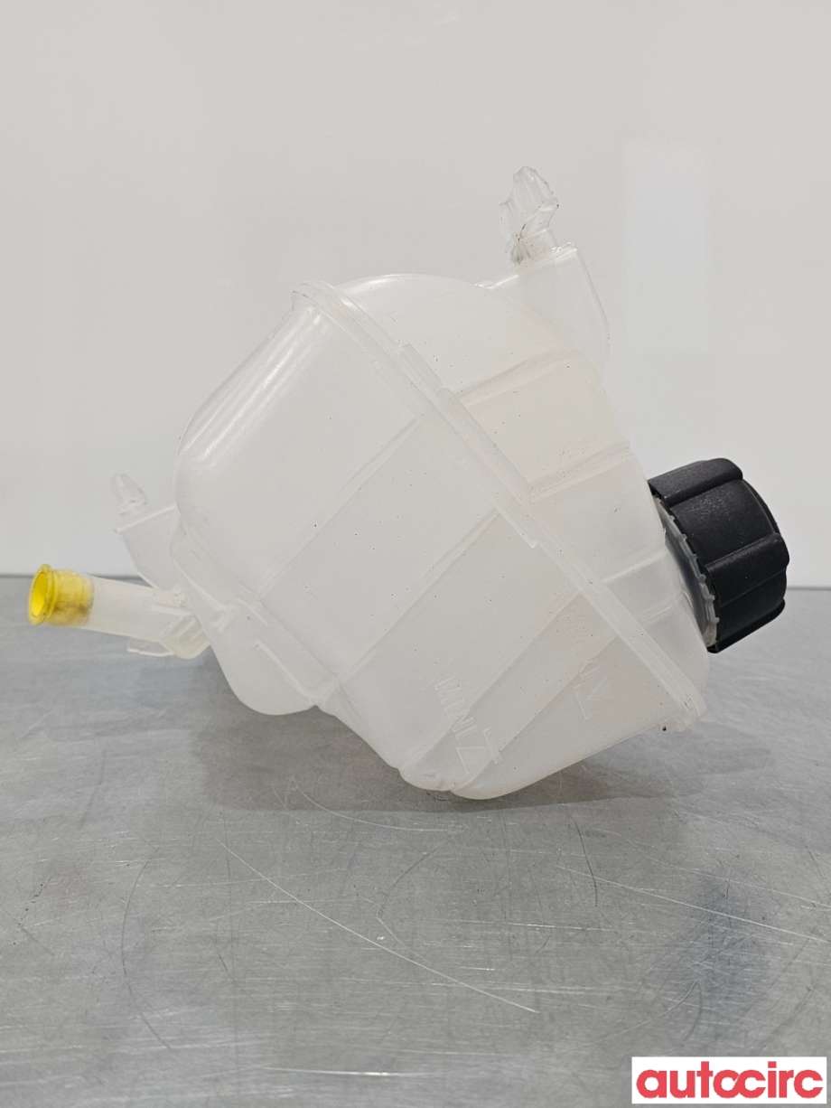 Ekspansjonstank til Renault Kangoo 2008-2021 (Type II)  (RENAULT|7701478318|8200455786)