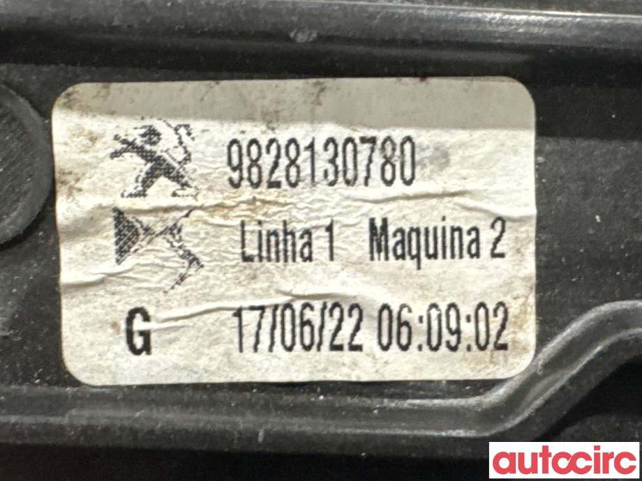 Ruteheis venstre foran til Peugeot 2008 2019-->> (Type II)  (PEUGEOT|9828130780|)