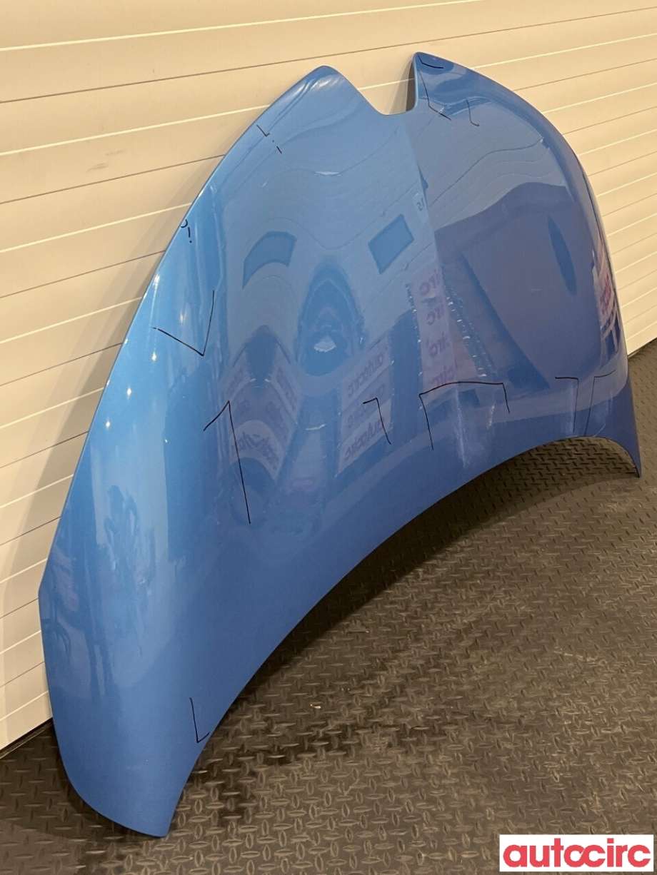 Panser til Renault Zoe 2013-2019 (Fase 1)  (RENAULT|651004516R)
