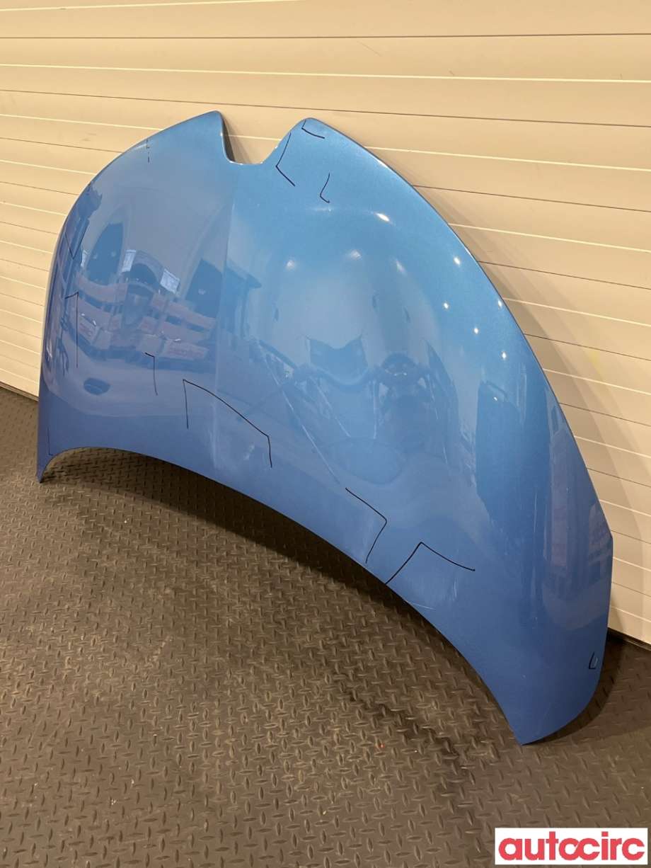 Panser til Renault Zoe 2013-2019 (Fase 1)  (RENAULT|651004516R)