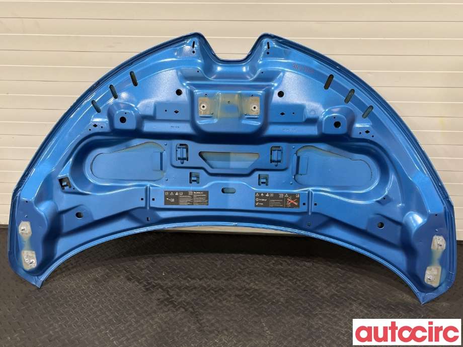 Panser til Renault Zoe 2013-2019 (Fase 1)  (RENAULT|651004516R)