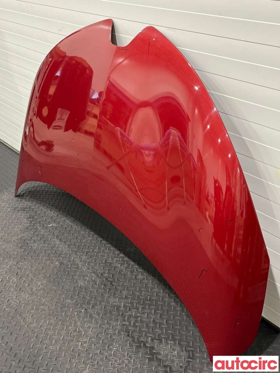Panser til Renault Zoe 2013-2019 (Fase 1)  (RENAULT|651004516R)