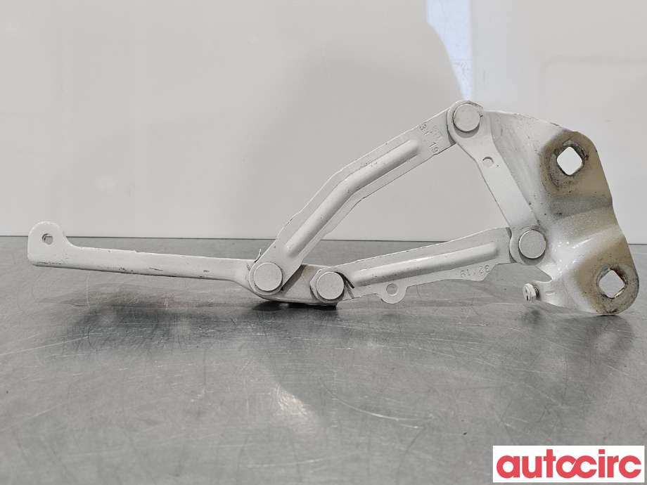 Panserhengsler til Ford Transit Custom 2013-2023 (Type I)  (FORD|2421373|BK21-16800-BB)