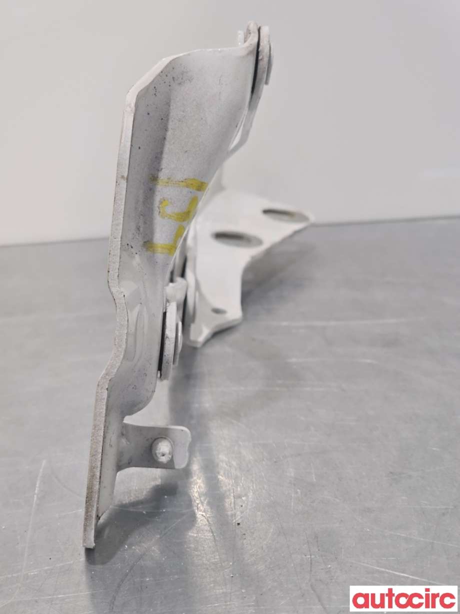 Panserhengsler til Ford Transit Custom 2013-2023 (Type I)  (FORD|2421373|BK21-16800-BB)