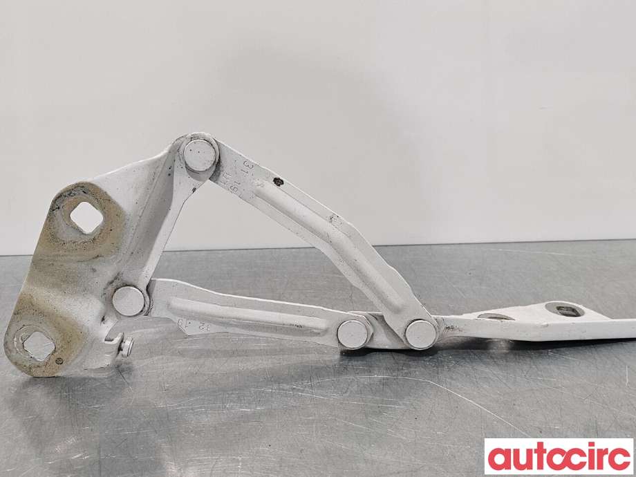 Panserhengsler til Ford Transit Custom 2013-2023 (Type I)  (FORD|2421364|KK31-16801-AB)