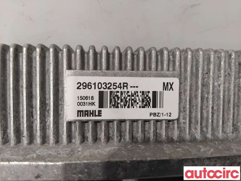 Rele diverse til Renault Zoe 2013-2019 (Fase 1)  (RENAULT|296103254R|PBZ1-12)