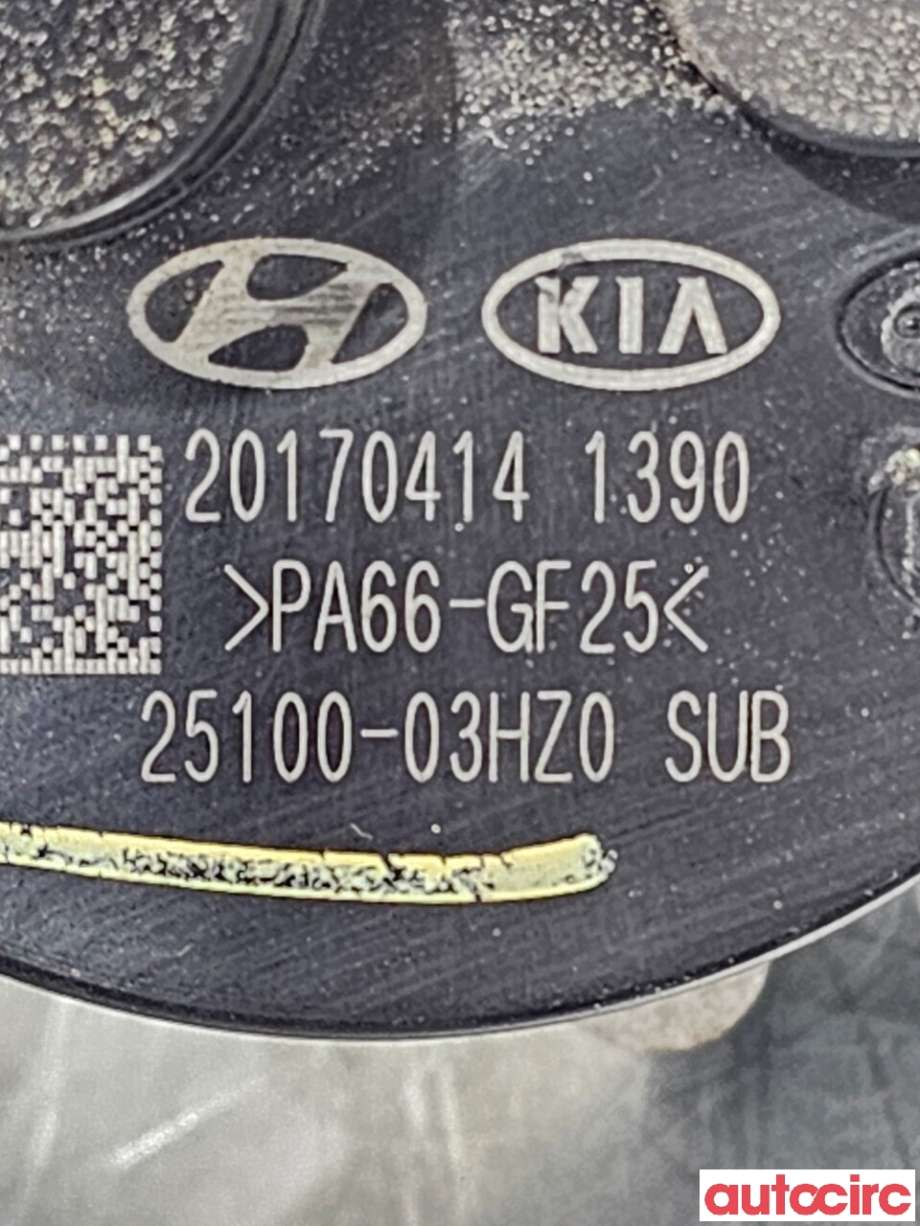 Sirkulasjonspumpe til Hyundai Ioniq Electric 2016-2019 (Fase 1) (HYUNDAI|2511003HZ0||25100-03HZ0)