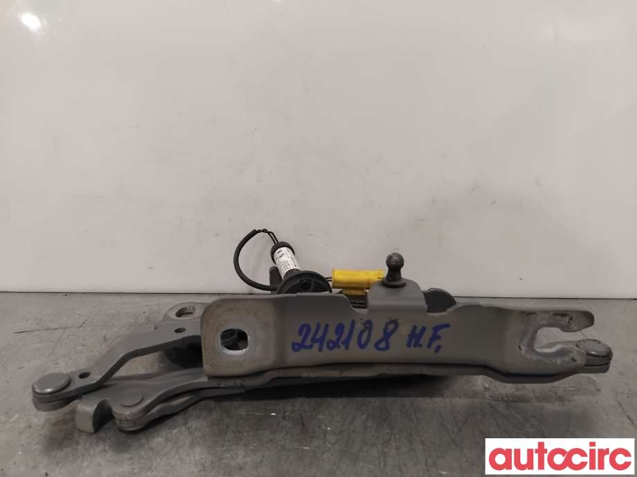 Panserhengsler til BMW 5-Serie 2010-2017 (F10/F11) (F10/F11) (BMW|41007270884||7249888)