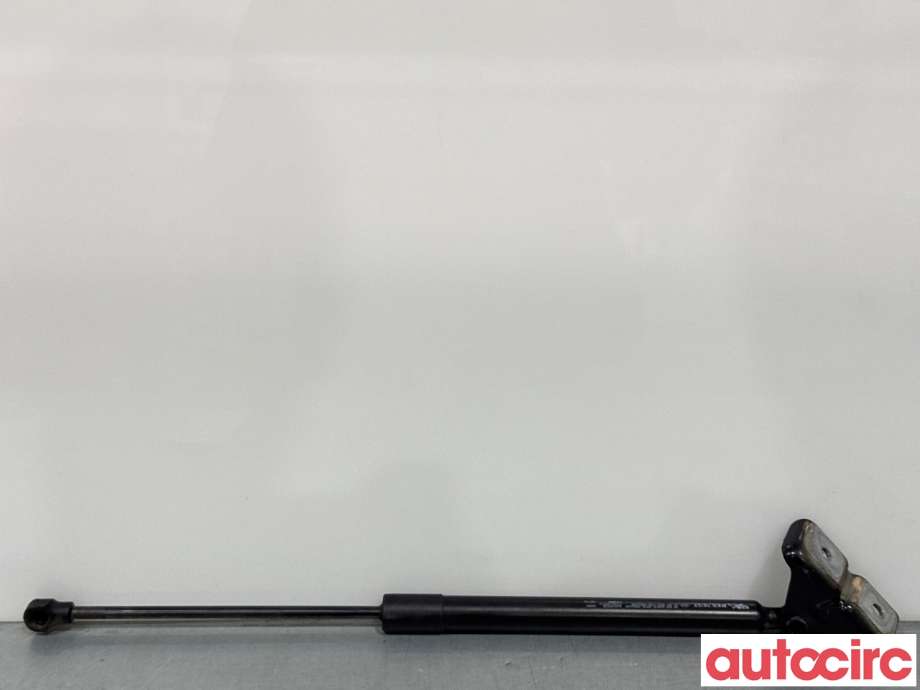Baklukedemper til Renault Zoe 2013-2019 (Fase 1) (RENAULT|904502915R|)