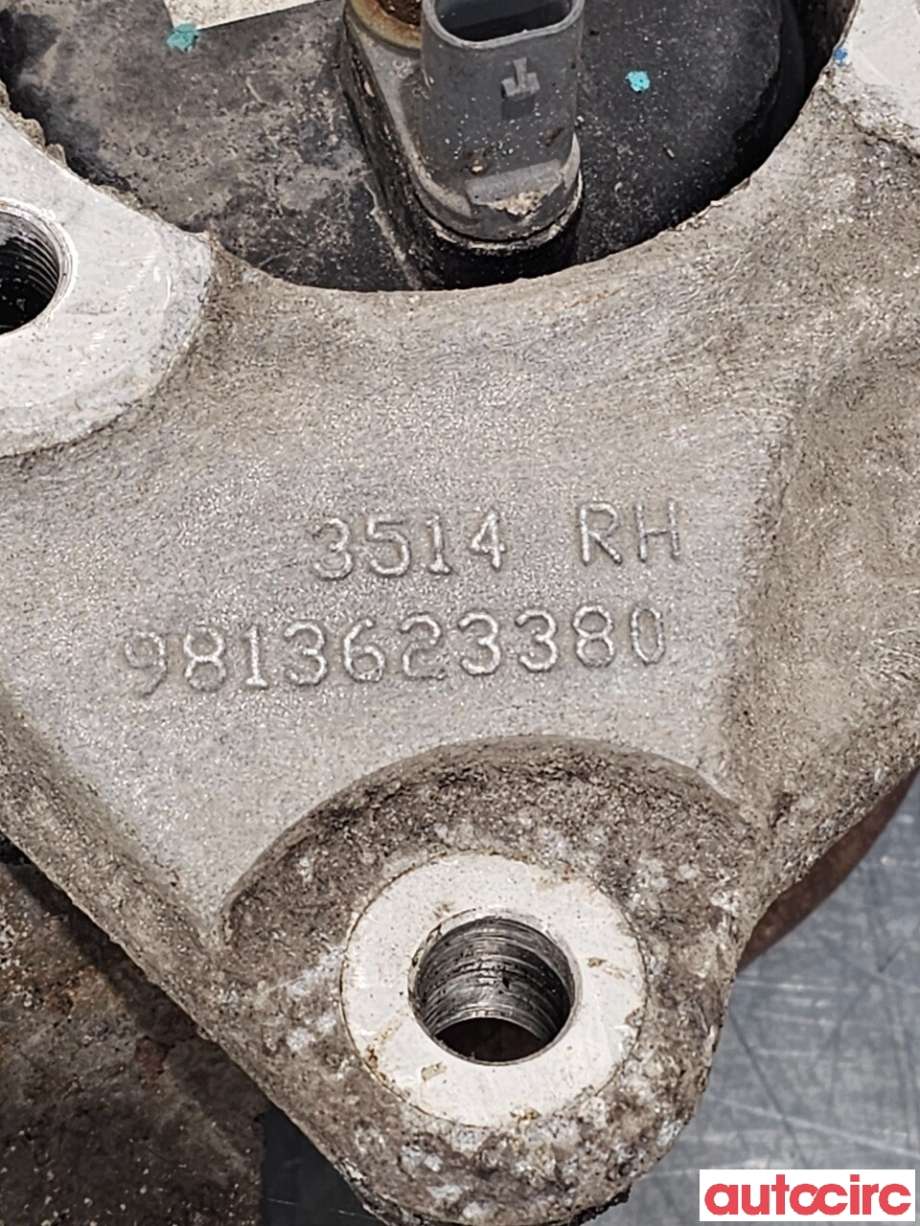 Hjulspindel høyre bak til Peugeot Partner 2019-->> (Type III)  (PEUGEOT|9813623380)