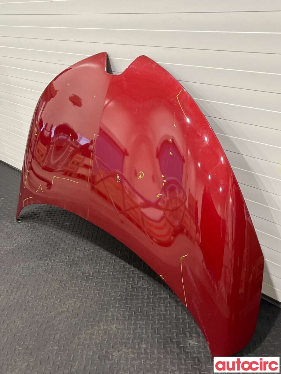 Panser til Renault Zoe 2013-2019 (Fase 1)  (RENAULT|651004516R)