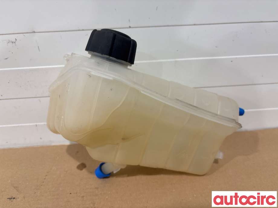 Ekspansjonstank til Renault Kangoo 2008-2021 (Type II)  (RENAULT|7701478318)