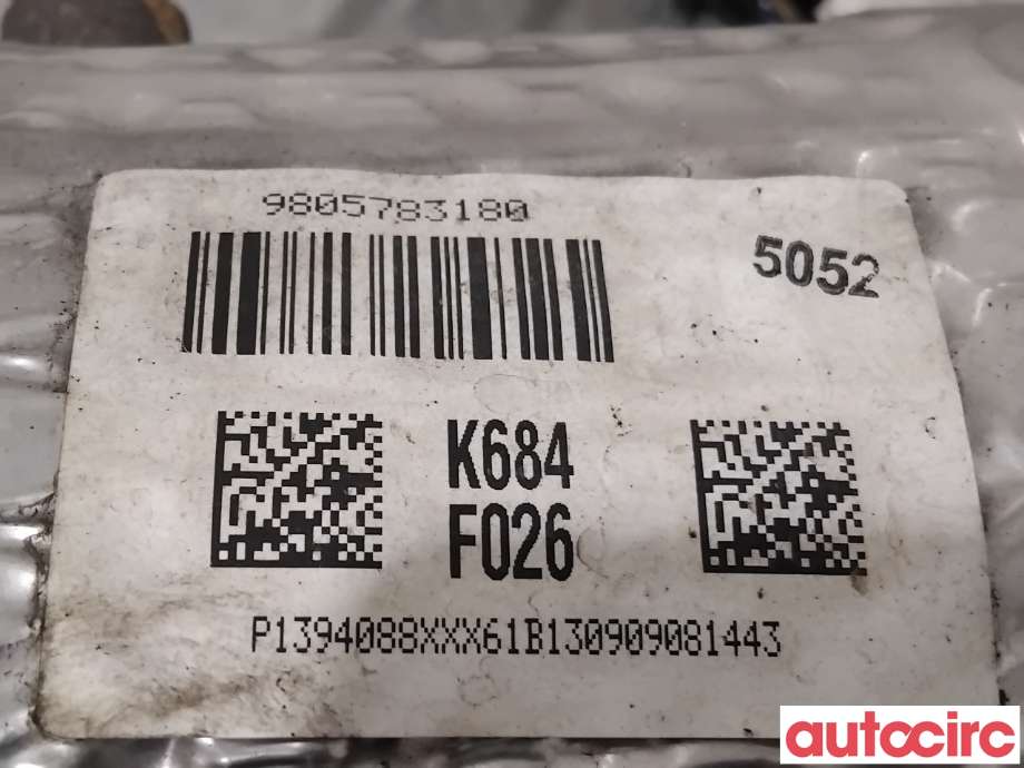 Partikkelfilter til Peugeot 308 2013-2021 (Type II) (PEUGEOT|1609532780|TRAPSAF026|9805783180)