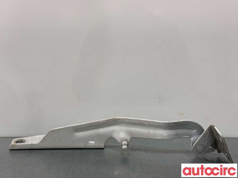 Panserhengsler til Renault Kangoo 2008-2021 (Type II)  (RENAULT|654005449R|A4158800128|654005382R)