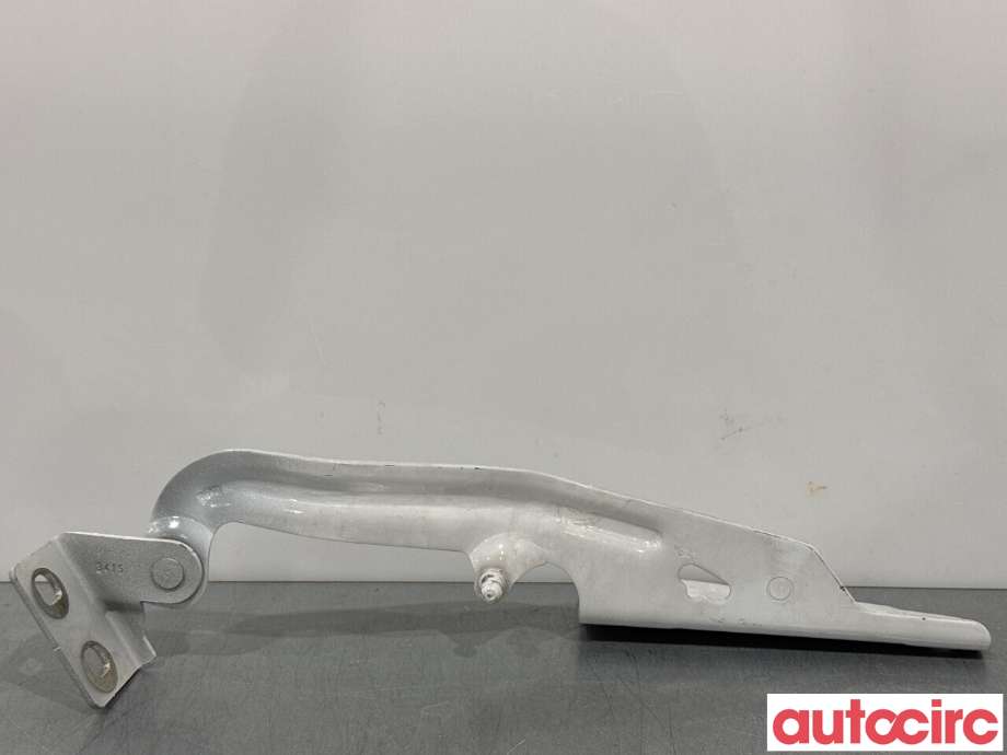 Panserhengsler til Renault Kangoo 2008-2021 (Type II)  (RENAULT|654013136R|A4158800028|654018491R)