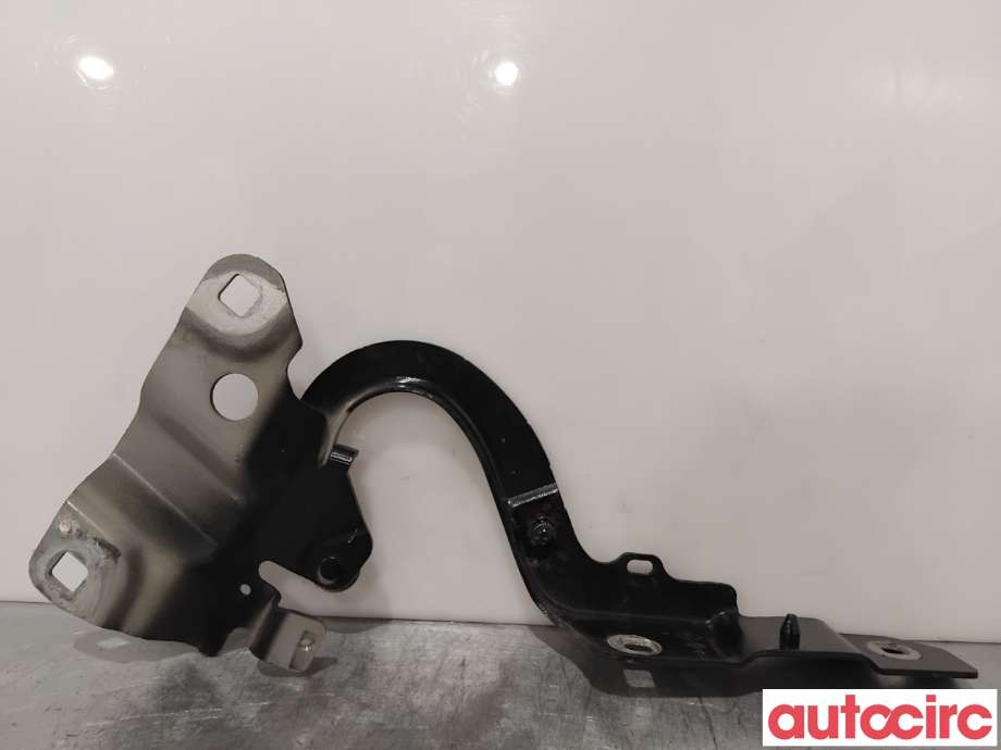 Panserhengsler til Renault Zoe 2013-2019 (Fase 1) (RENAULT|654004793R||654009955R)