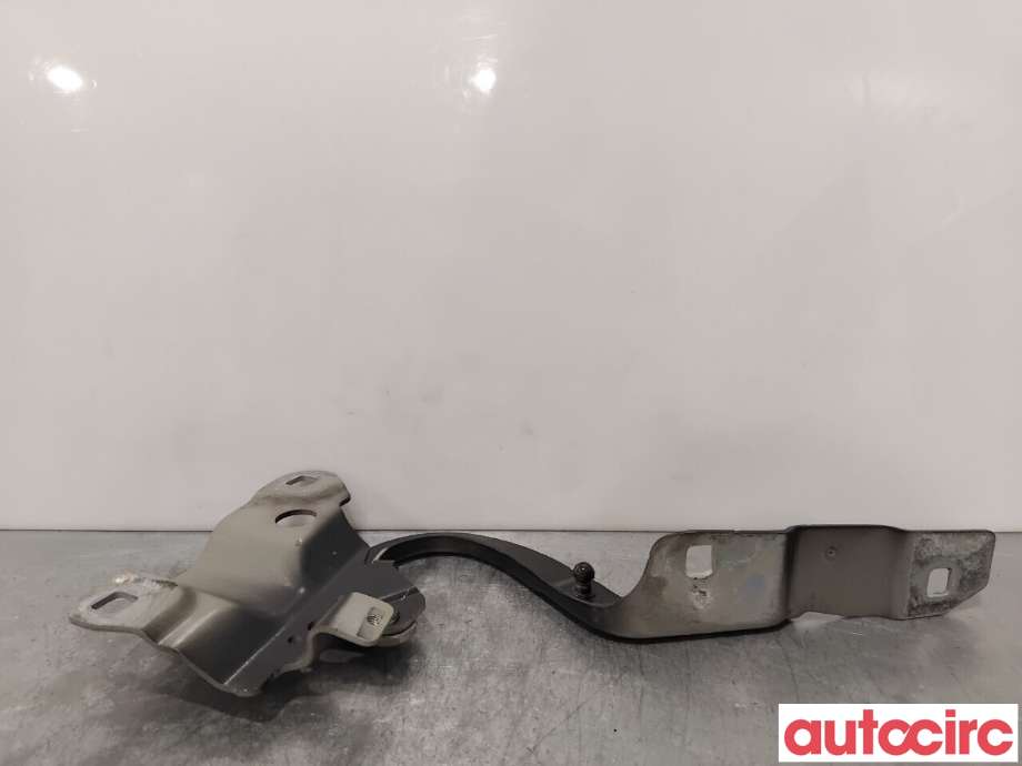 Panserhengsler til Renault Zoe 2013-2019 (Fase 1) (RENAULT|654004793R||654009955R)