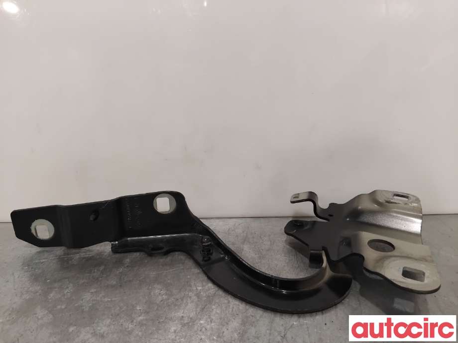 Panserhengsler til Renault Zoe 2013-2019 (Fase 1) (RENAULT|654004793R||654009955R)