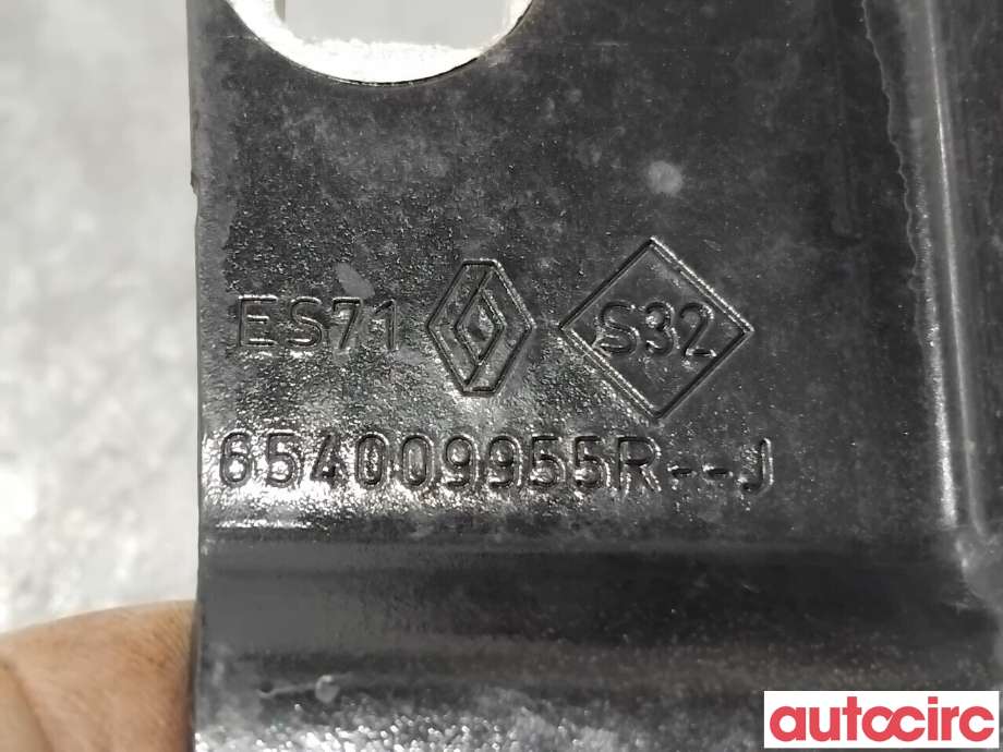 Panserhengsler til Renault Zoe 2013-2019 (Fase 1) (RENAULT|654004793R||654009955R)