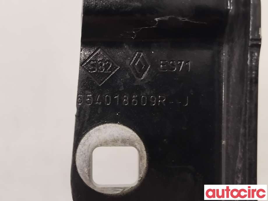 Panserhengsler til Renault Zoe 2013-2019 (Fase 1)  (RENAULT|654015966R||654018609R)