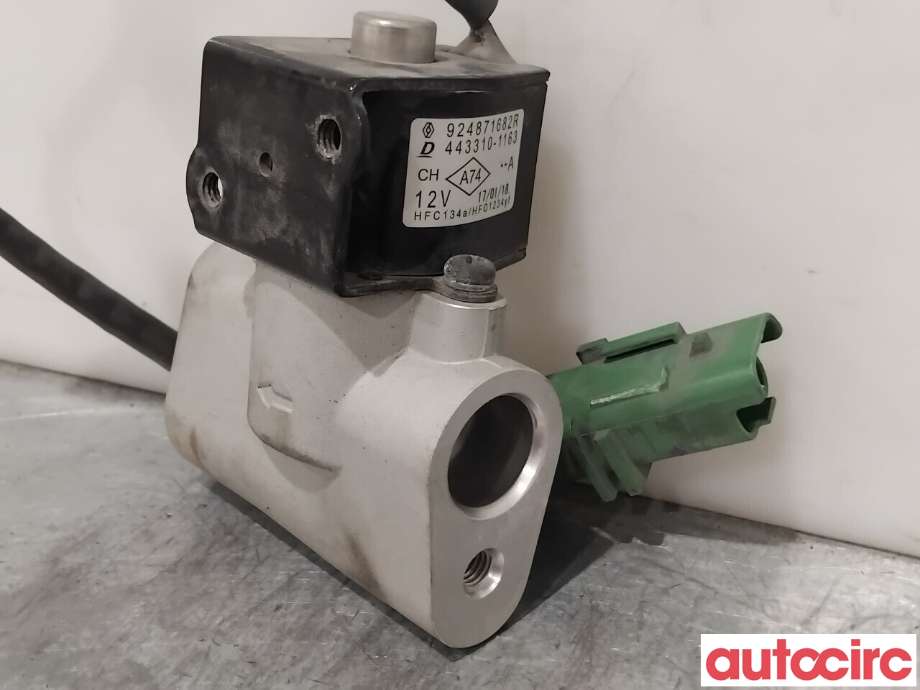 Diverse deler til Renault Zoe 2013-2019 (Fase 1)  (RENAULT|924871682R|443310-1163)
