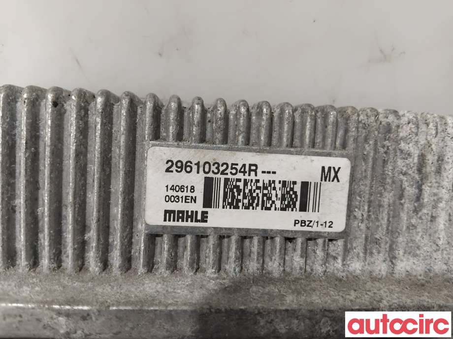 Rele diverse til Renault Zoe 2013-2019 (Fase 1)  (RENAULT|296103254R|PBZ1-12)