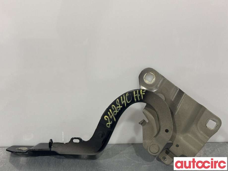 Panserhengsler til Renault Zoe 2013-2019 (Fase 1)  (RENAULT|654004793R||654009955R)