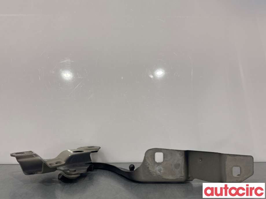Panserhengsler til Renault Zoe 2013-2019 (Fase 1)  (RENAULT|654004793R||654009955R)