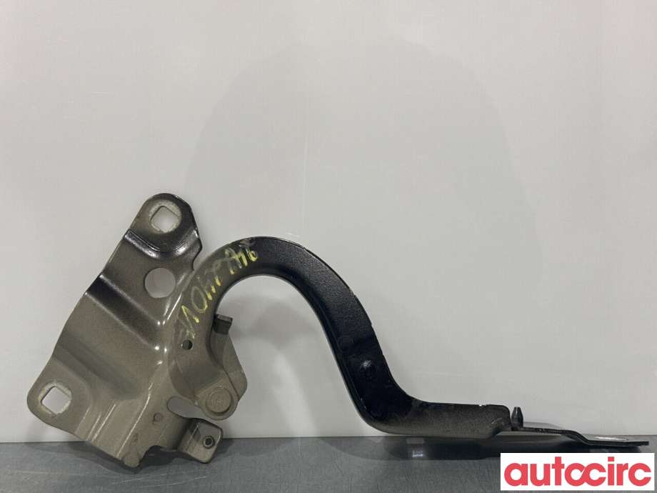Panserhengsler til Renault Zoe 2013-2019 (Fase 1)  (RENAULT|654015966R||654018609R)