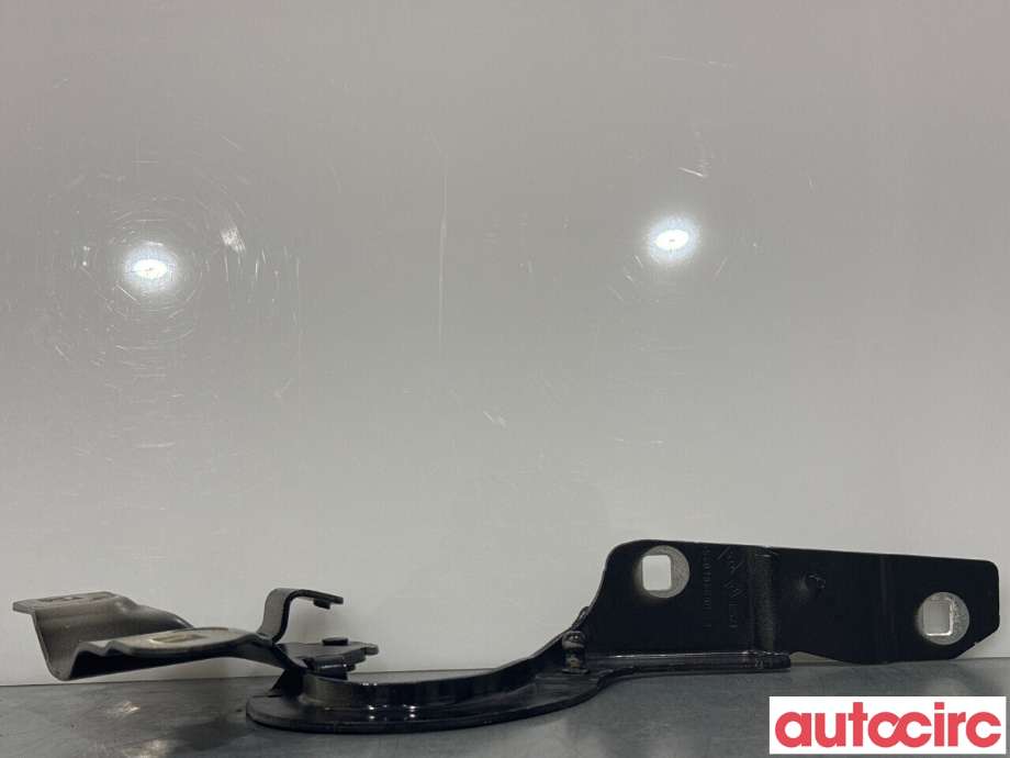 Panserhengsler til Renault Zoe 2013-2019 (Fase 1)  (RENAULT|654015966R||654018609R)