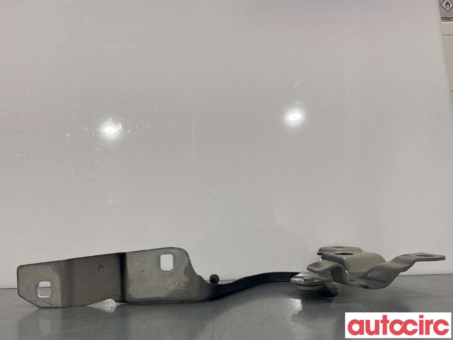 Panserhengsler til Renault Zoe 2013-2019 (Fase 1)  (RENAULT|654015966R||654018609R)
