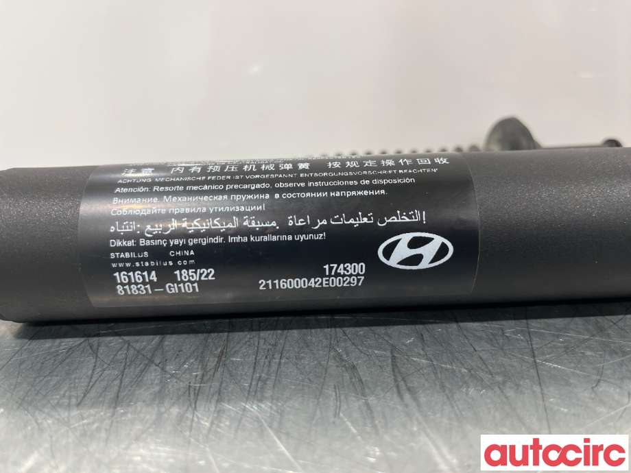 Baklukedemper til Hyundai Ioniq 5 2021-->> (HYUNDAI|81831GI100|81831GI101)