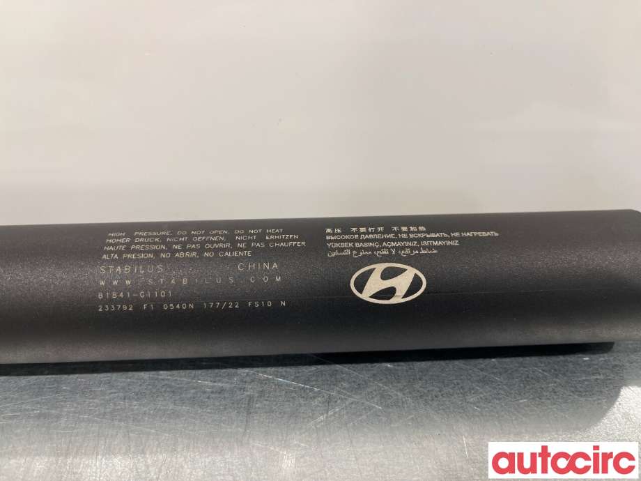 Baklukedemper til Hyundai Ioniq 5 2021-->>  (HYUNDAI|81841GI100|818441-GI101)