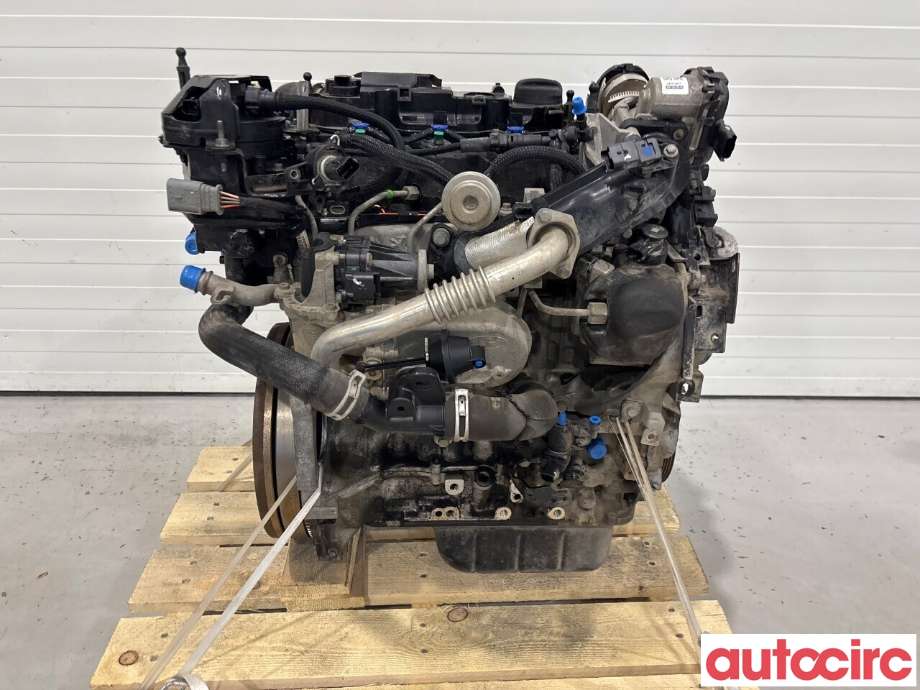 Motor diesel til Ford C-Max 2015-2019 (Type II, Fase 2)  (FORD|2039109|XWDD|GM5Q-6006-CA)