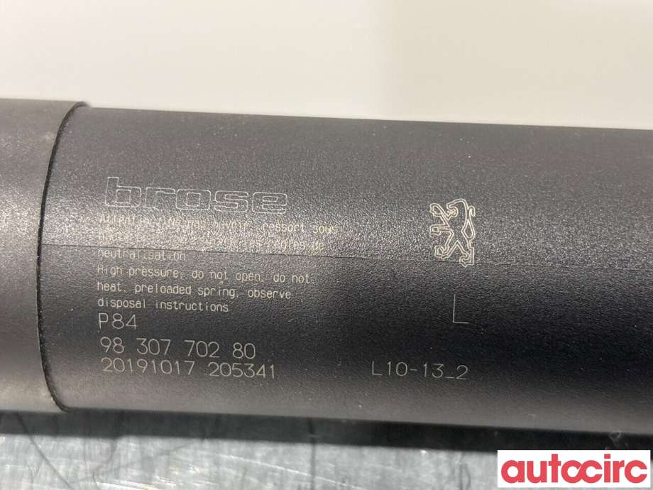 Baklukedemper til Peugeot 3008 2016-->> (Type II)  (PEUGEOT|9830770280)